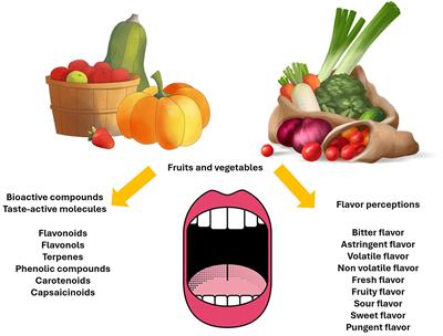 Bioactive compounds, sensory attributes, and flavor perceptions involved in taste-active molecules in fruits and vegetables